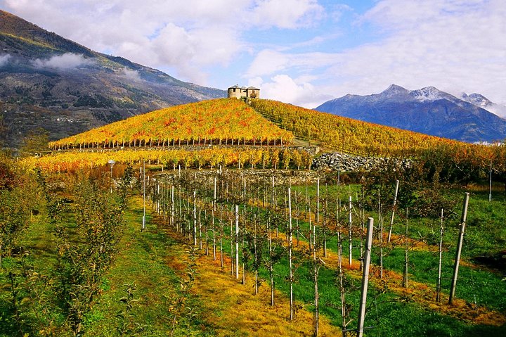 BETWEEN TRADITIONS and INNOVATION PASTRY , WINES and TUNA in ERICE and TRAPANI - Image 4
