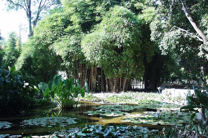 PALERMO and its GARDENS and a COOKING Class - Image 2