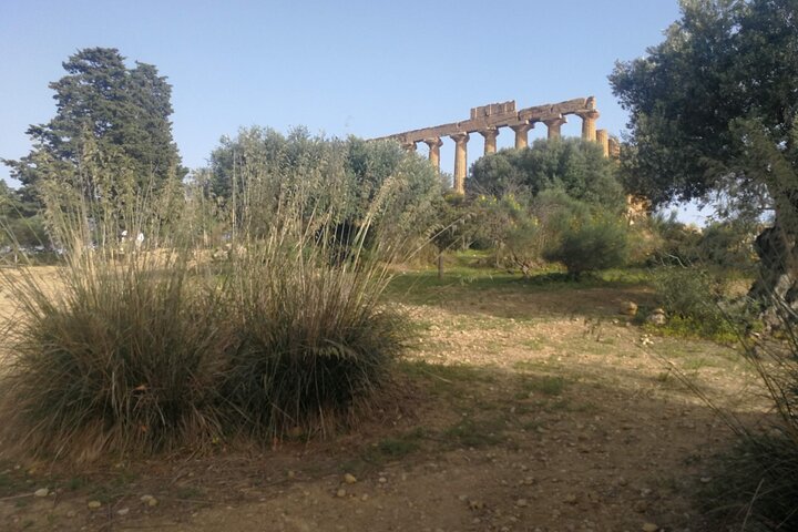 Private Tour to Segesta, Erice with Wine Tastings in Marsala - Image 4