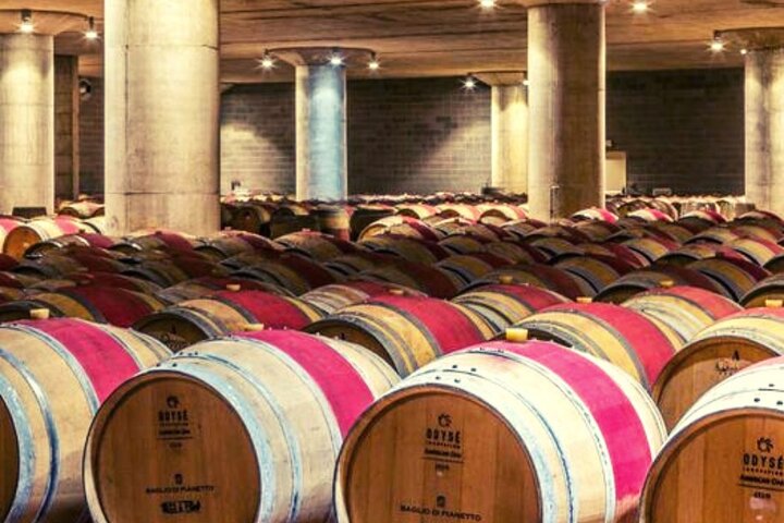 Wine Tasting for Small Groups in the Palermo Countryside - Image 2