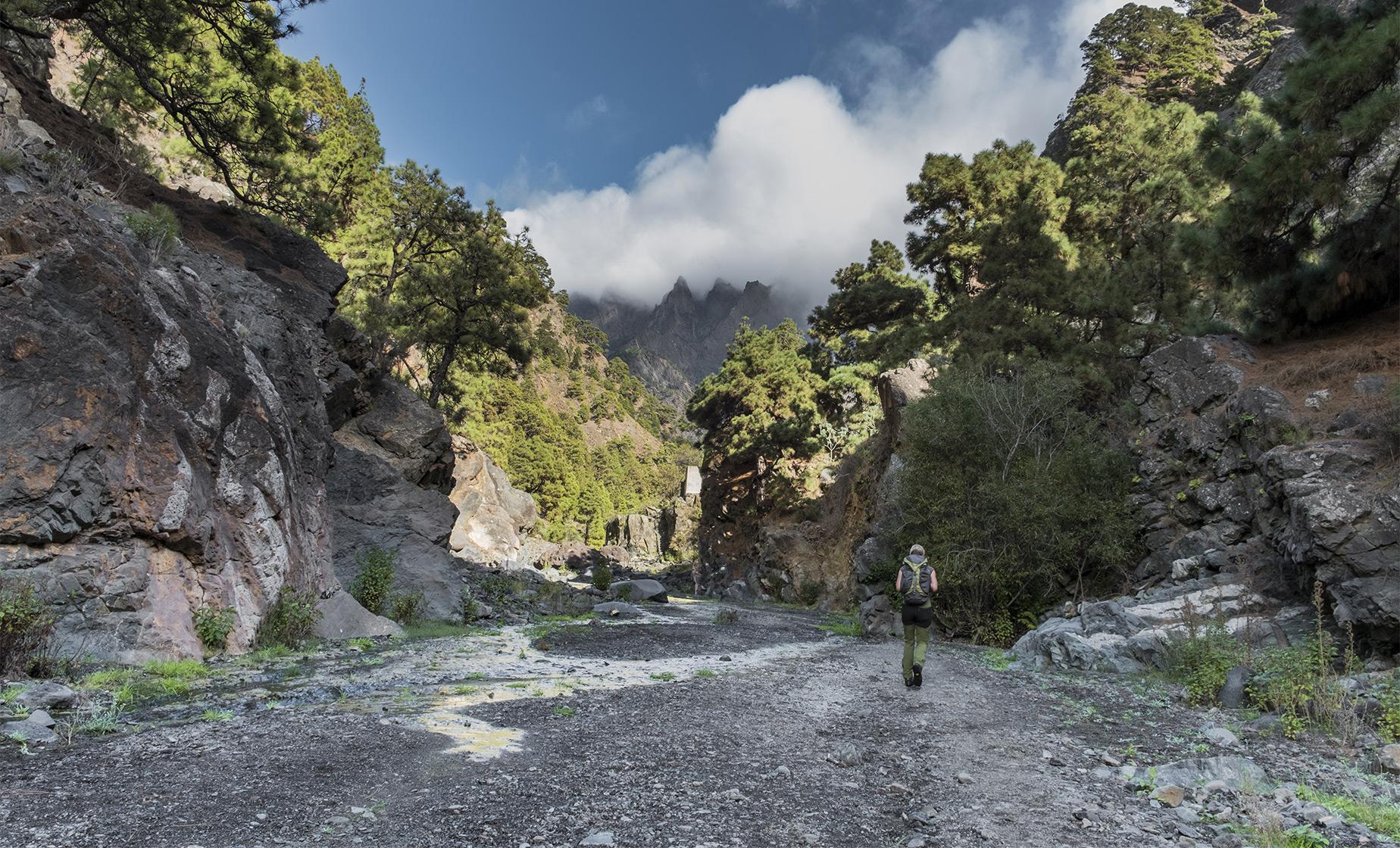 Adventure Trekking - Image 1