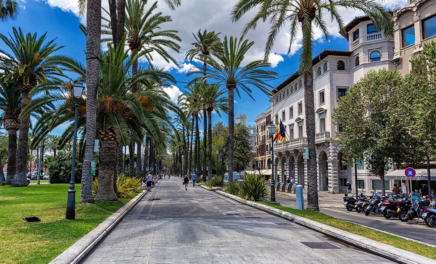 Discover Palma by Foot - Image 1