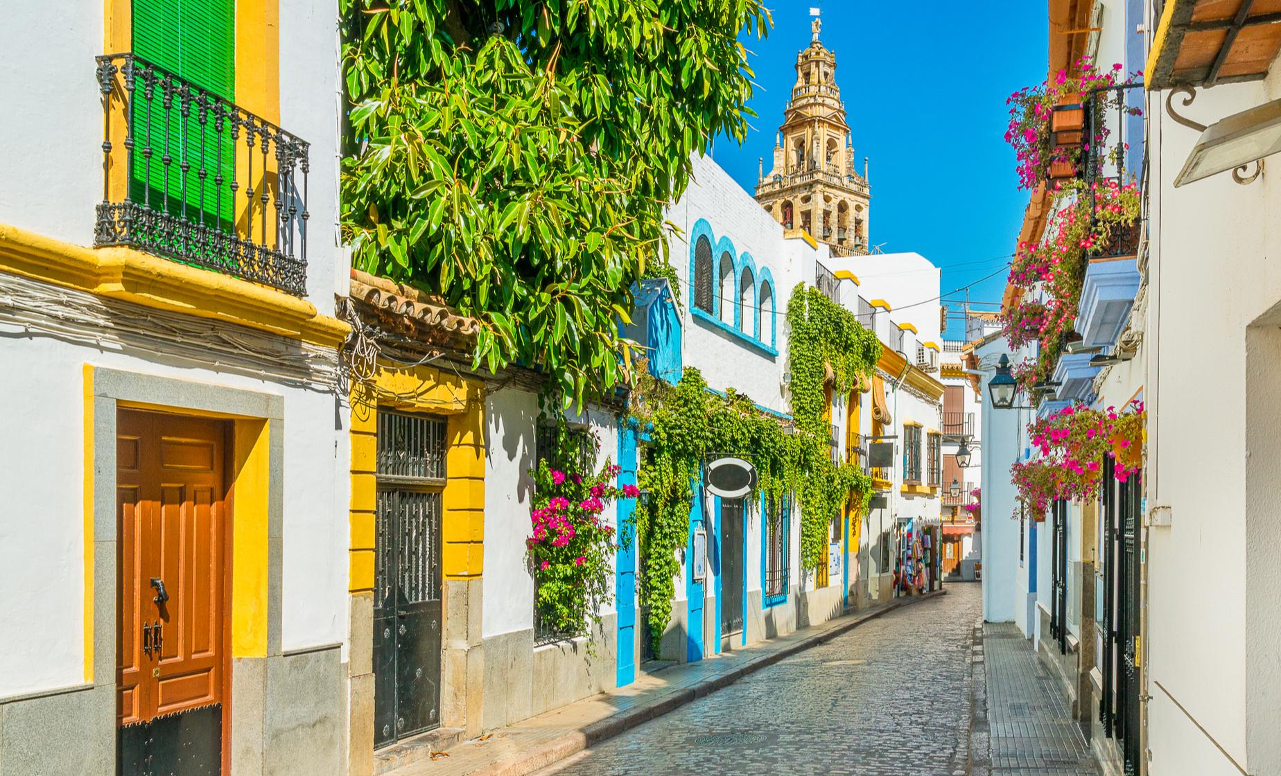 Private Secrets of Jewish Majorca Walking Tour - Image 1