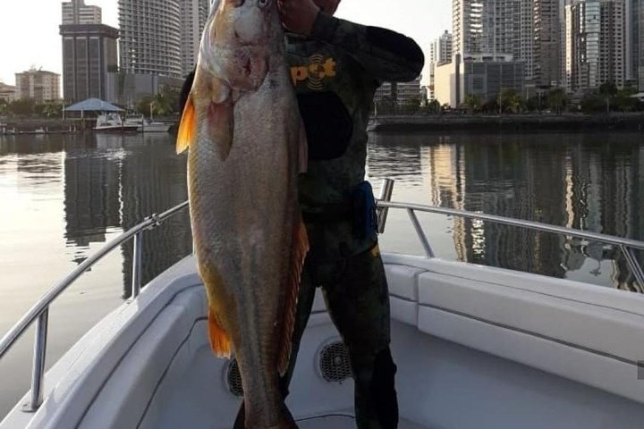 6-Hour High Sea Fishing in Gulf of Panama - Image 3