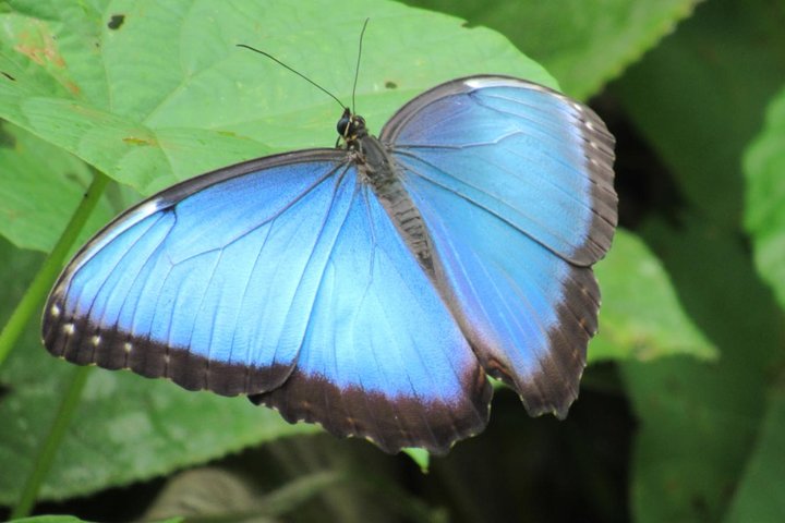 Beautiful BioTour - Image 4