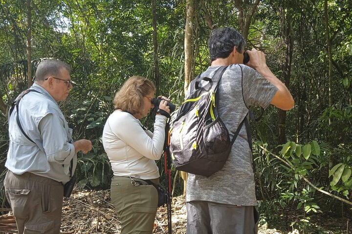 Birding Pipeline Road from Amador Cruise Port - Image 3