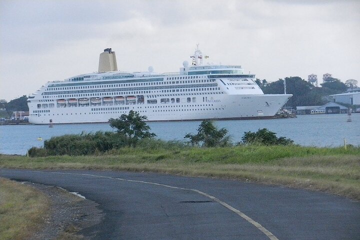 Birding Pipeline Road from Amador Cruise Port - Image 4