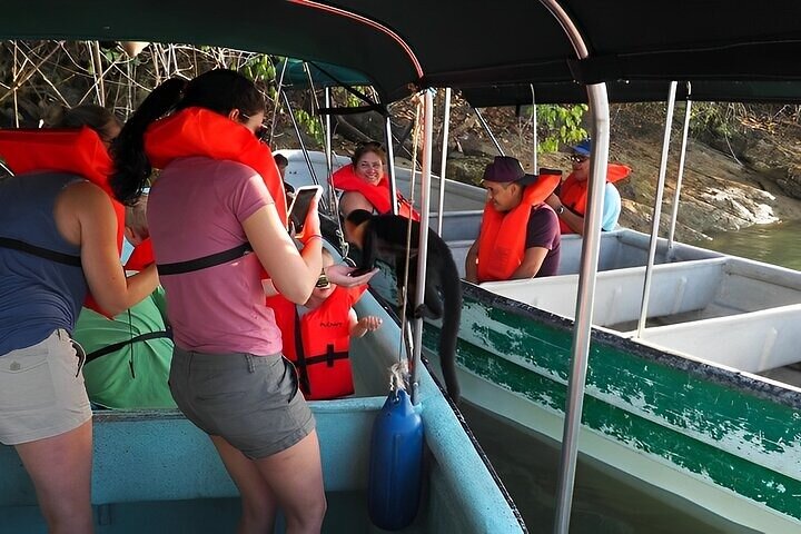 City Outings: Panama Jungle Adventure - Image 4