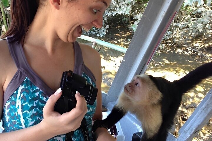 City Outings: Panama Jungle Adventure - Image 5
