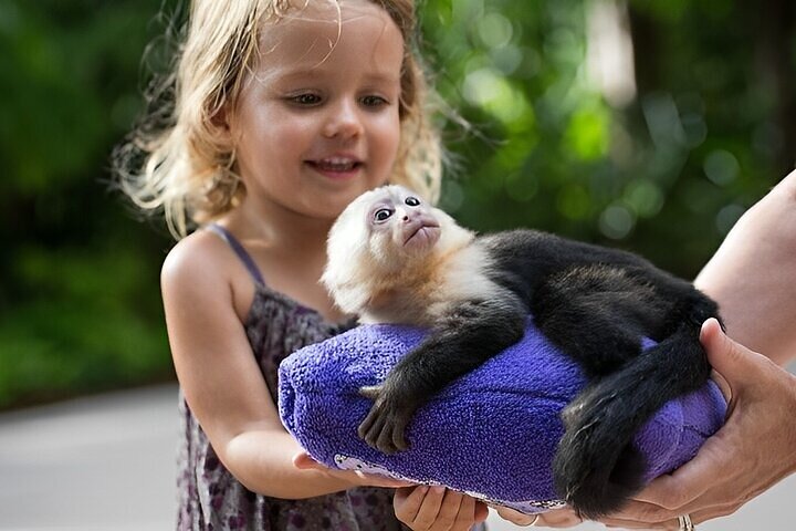 City Outings: Panama Jungle Adventure - Image 3