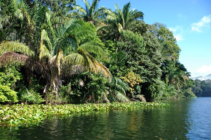Day Tour at Panama Canal from Ocean to Ocean - Image 5