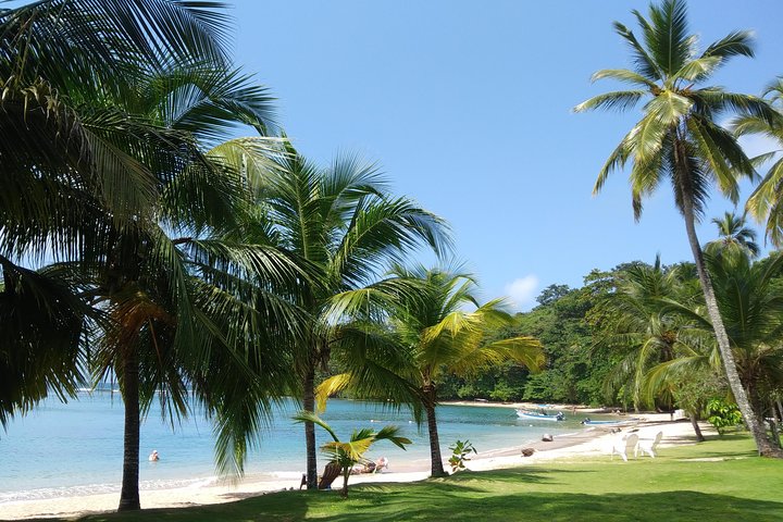 Day tour to the Caribbean: Grande Island and Portobelo - Image 1