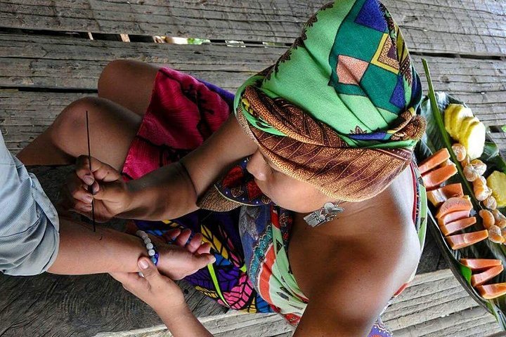 Day Trip to the Embera Indian Village - Image 4