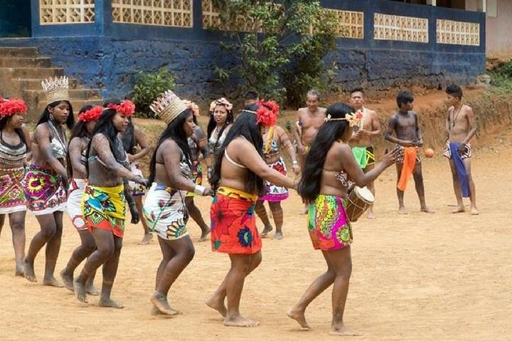 Day Trip to the Embera Indian Village - Image 3
