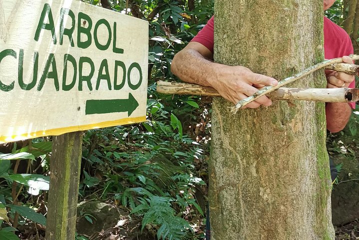 El Valle de Anton - Hiking and Swimming - Image 2