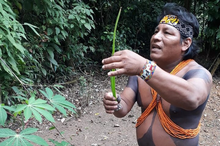 Embera Village Day Tour - Image 4