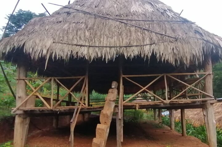  Emberá Village Overnight Tour - Image 4