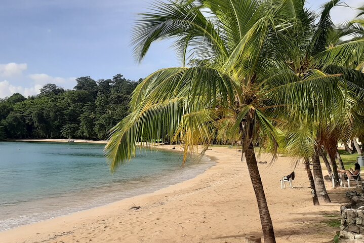 Full-day Adventure to Caribbean Sea: Mamey and Grande Island - Image 1