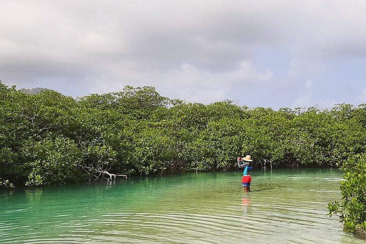 Full-day Adventure to Caribbean Sea: Mamey and Grande Island - Image 2
