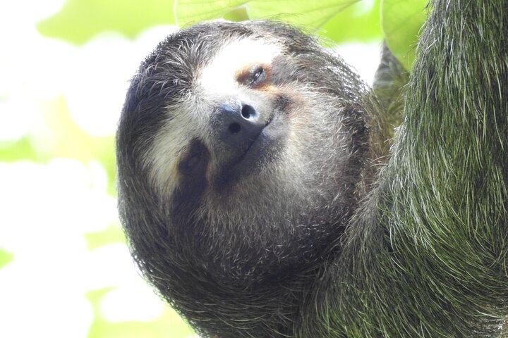 Full Day Private Bird and Nature Sightseeing Tour in Pipe Line  - Image 3