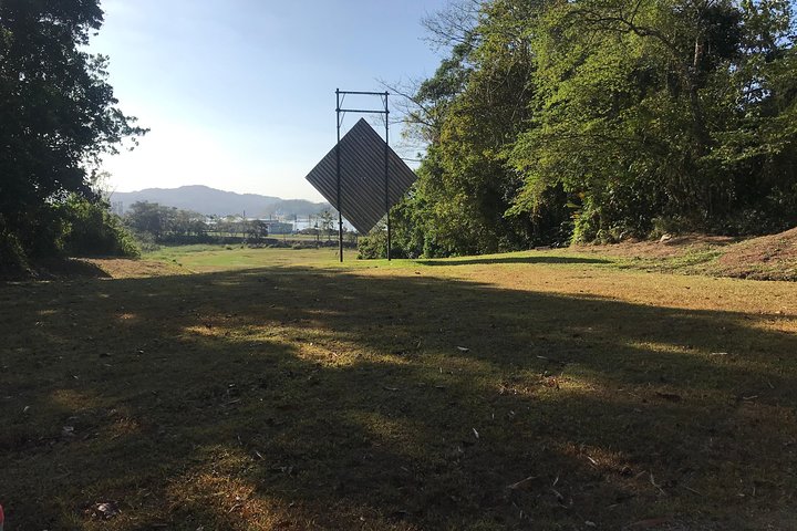 Gamboa Rainforest Tour (Bike or scooter) - Image 4
