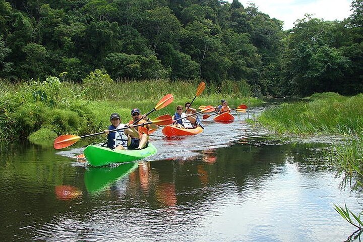 Half Day Private Kayak Tour on Lake Gatun - Image 2