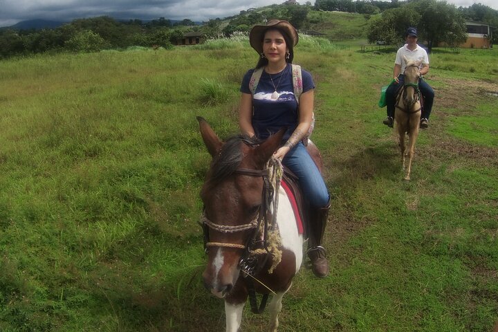 Horseback Riding in the jungle near Panama City - Image 5