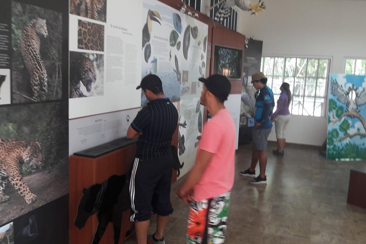 Kayak and Embera Village in Chagres Park - Image 5