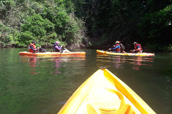 Kayak and Embera Village in Chagres Park - Image 4