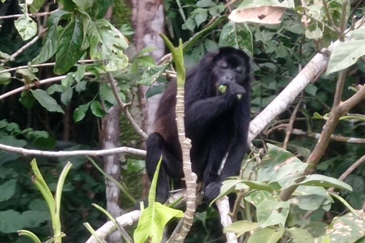 Mono Island and Panama Canal Tour - Image 1
