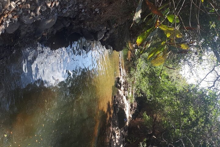 Nature trail, river in a wellness farm & Santa Clara beach - Image 2
