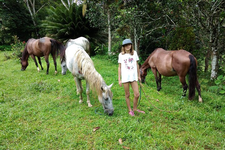 Panamá's Farming Region on horseback - Image 4