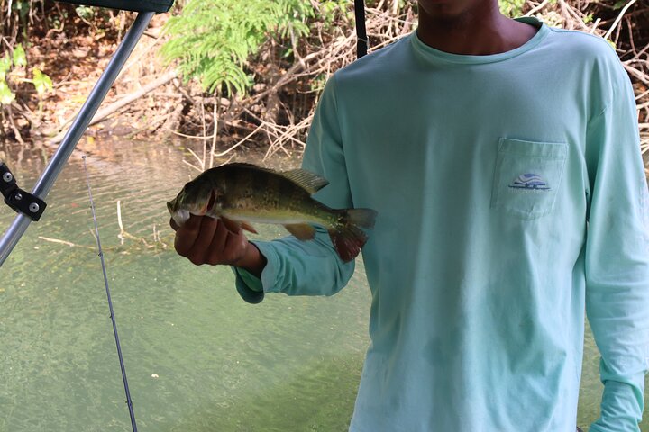 Private Fresh Water Fishing at Gatun Lake Panama Canal - Image 3