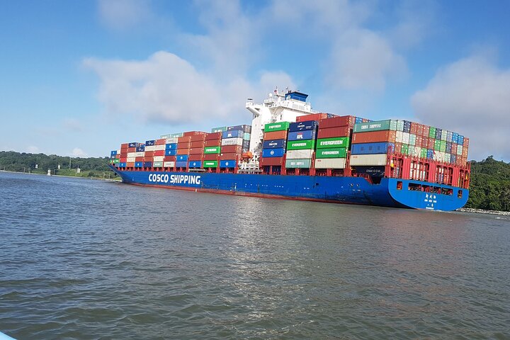 Rainforest experience, Gatun Lake & Historical Gamboa Town - Image 5
