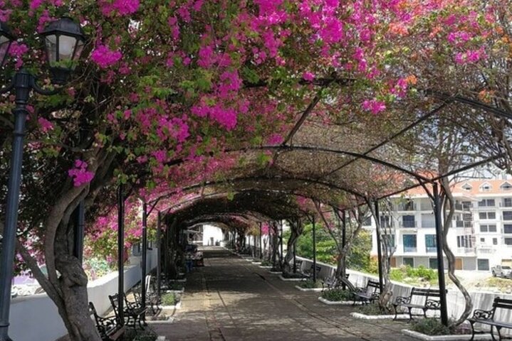 The Pearl of the Pacific & The Walled City Walking Tour - Image 5