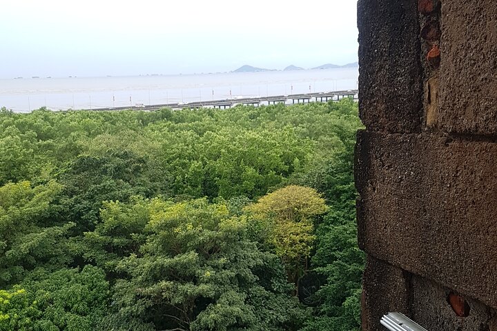 The Pearl of the Pacific & The Walled City Walking Tour - Image 2