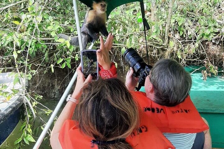 Top Monkey Island Tour Privado  - Image 2