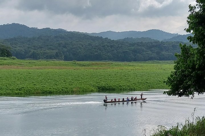 Tour at the Chagres Rainforest and Embera Indigenous Village - Image 2