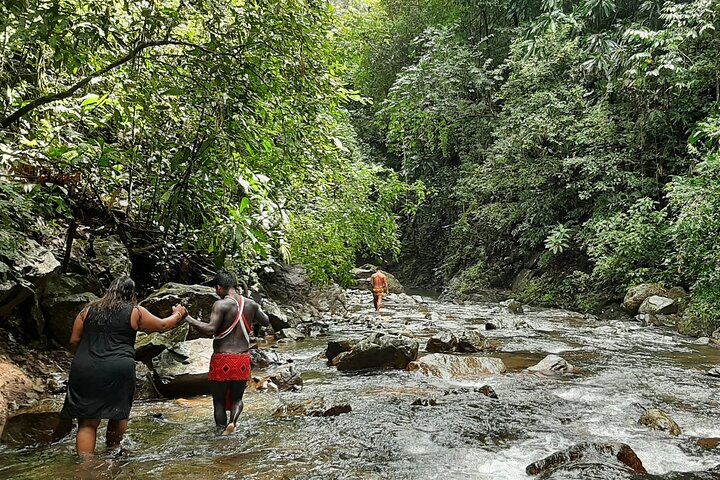 Tour at the Chagres Rainforest and Embera Indigenous Village - Image 5