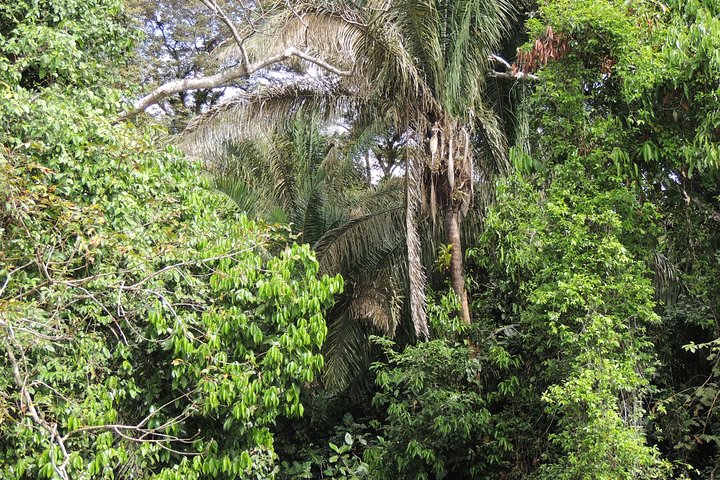 Tour Fuerte San Lorenzo Colón - Image 4