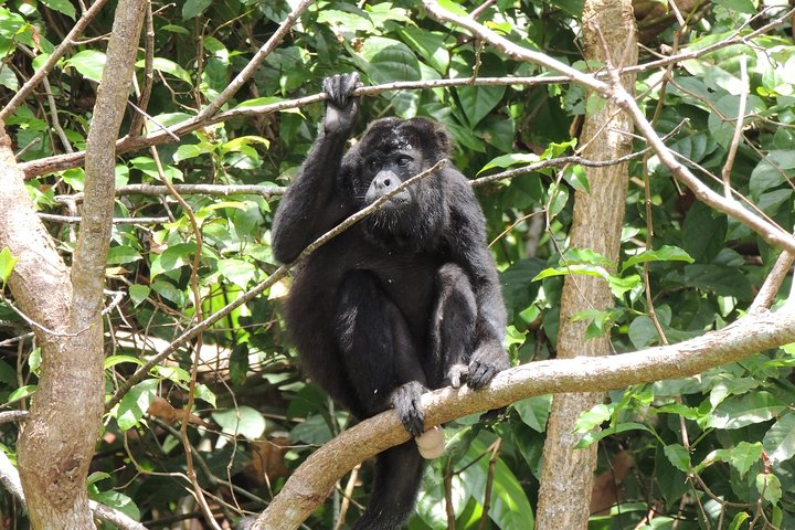 Tour Fuerte San Lorenzo Colón - Image 2