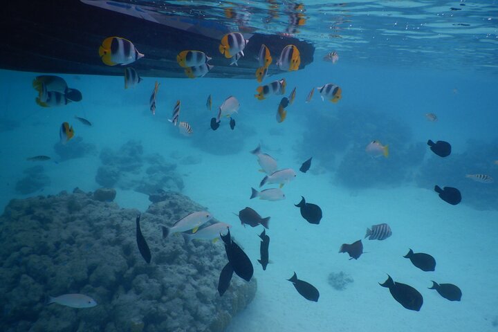 2 hours discovery tour of Moorea by Jet Ski - Image 3