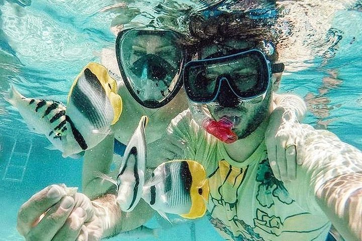 3-hour Lagoon Snorkeling Tour - Private Tour - Image 1