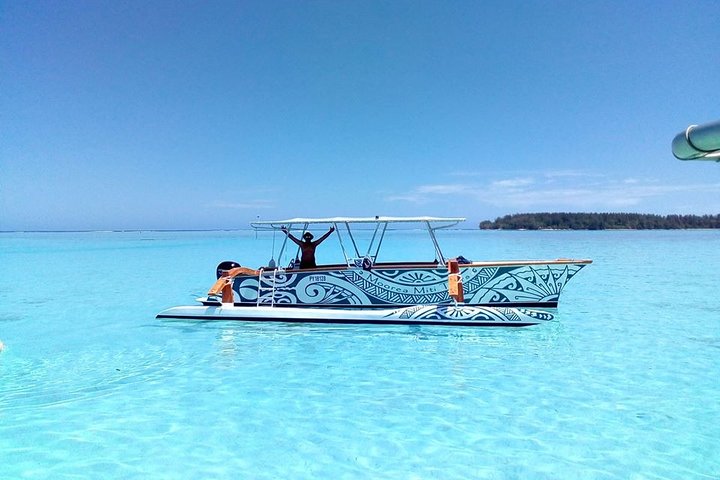3-hour Lagoon Snorkeling Tour - Private Tour - Image 5
