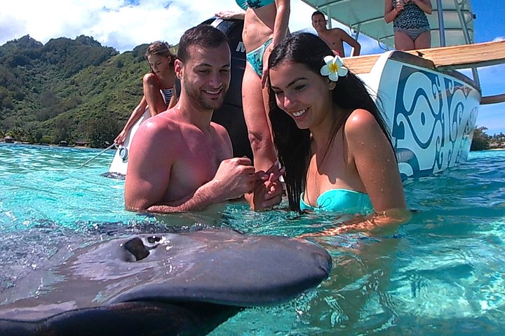 3-hour Lagoon Snorkeling Tour - Shared Tour - Image 1