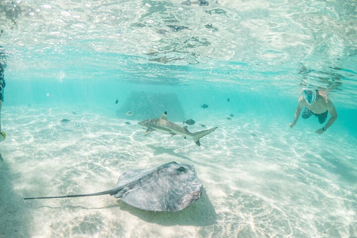 3-Hour Snorkeling Tour - Image 3