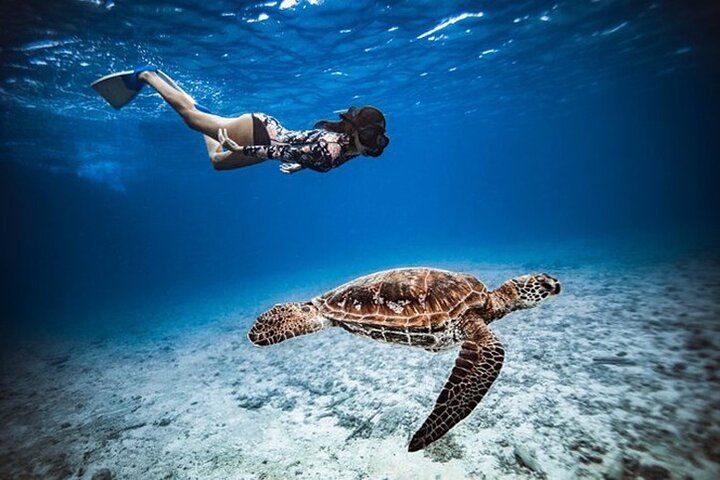 6 Hour Private Boat Activity with Snorkeling & Lunch - Image 4