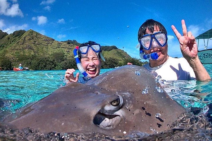 6-hour Snorkeling & Lunch Tour - Private Tour - Image 4