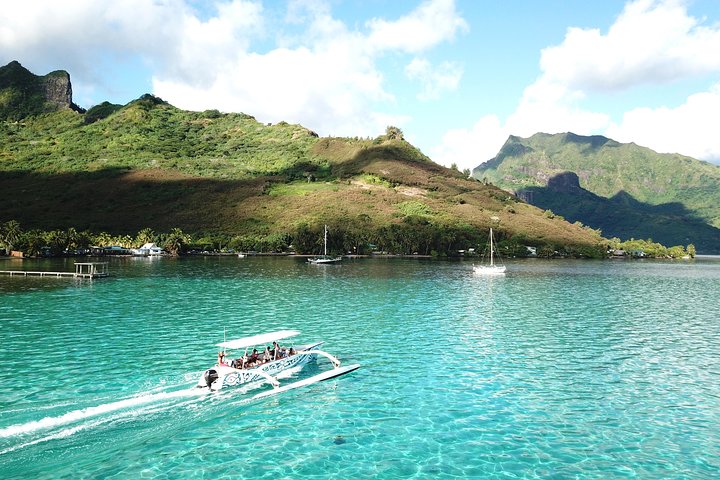 6-hour Snorkeling & Lunch Tour - Shared Tour - Image 4