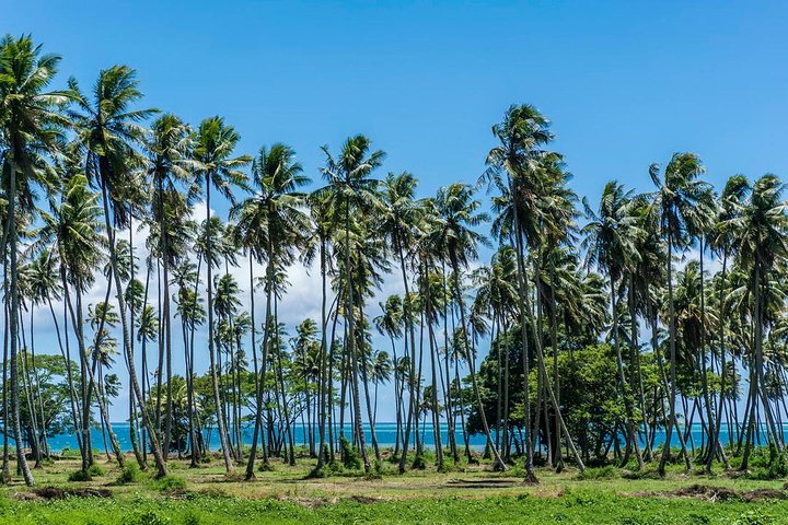 Amazing attractions of Tahiti charming island – Private half day circle tour  - Image 4